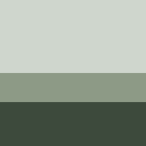 Fern Layers